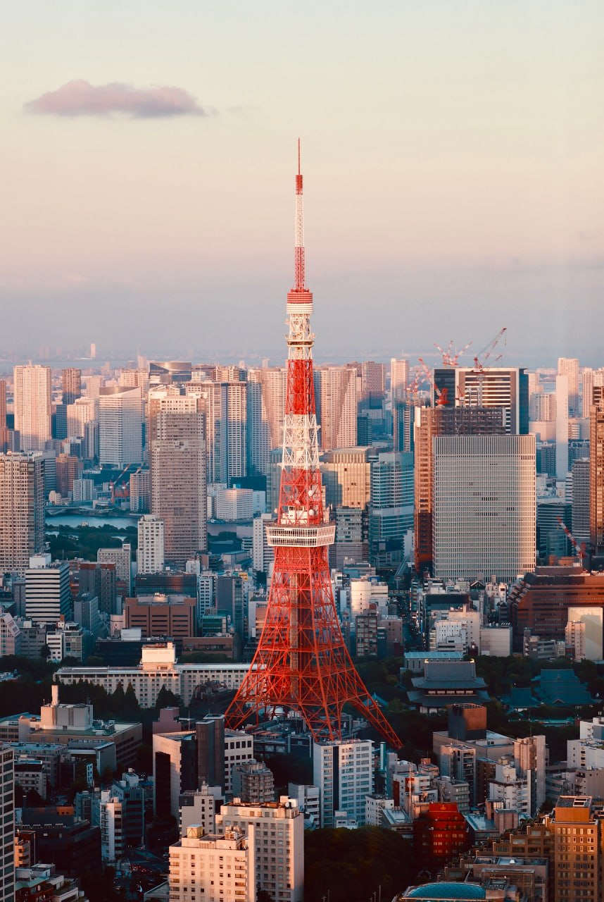 Worker 部署代码截图